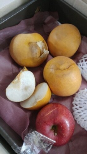 [과일선물세트] 사과배혼합세트 6kg 1호(사과6개, 배4개)