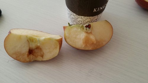 [애플팩토리]껍질째 먹는 봉지 세척 사과 2.5kg (11~14과내외)