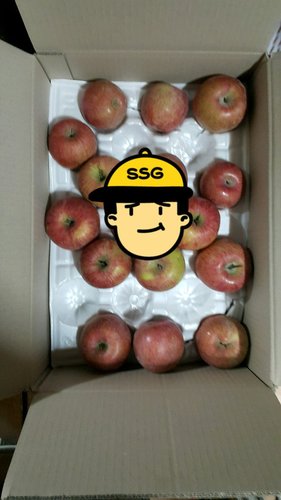 [더조은] 경북 부사 사과 가정용 10kg 48-51과