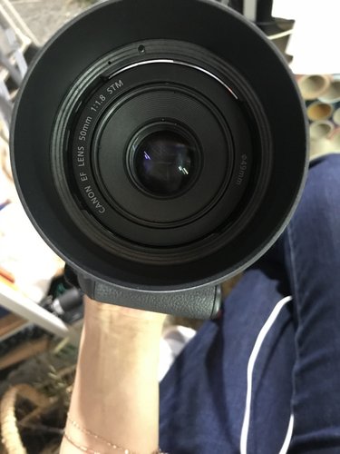 [정품] 렌즈 후드 ES-68 (EF 50mm F1.8 STM 용)