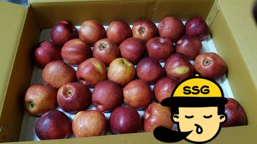 [유명산지] 달콤한 부사 사과 3kg 14과내