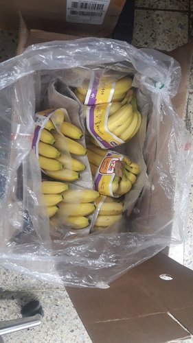 Dole 바나나 13kg (1.3kg*10송이)