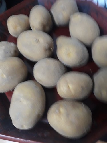 [유명산지][감동]감자 3kg 중크기(휴게소통구이용)