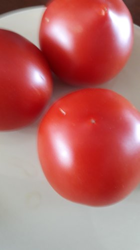 [정성애찬]완숙토마토 3kg(4-5번과)