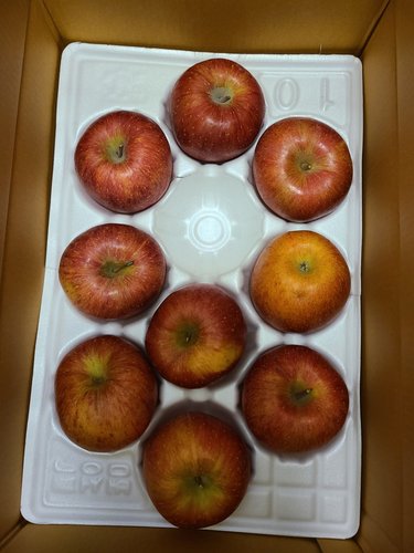 [유명산지] 달콤한 부사 사과 5kg 23과내