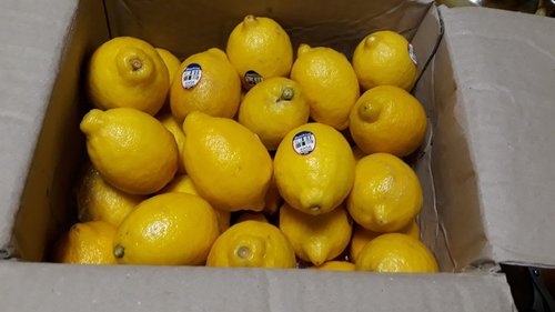 썬키스트 팬시 레몬 대과 30입 3.6kg