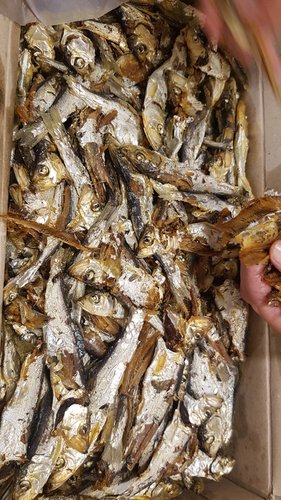 엄마애바다 정어리 1.5kg  국산 구이 조림 멸치 단독판매 등푸른 생선