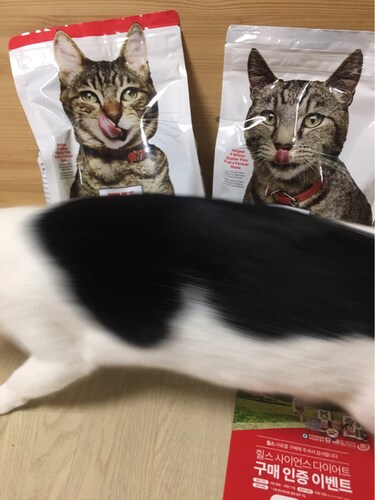 힐스 고양이사료 어덜트 퍼펙트 웨이트 1.4kg