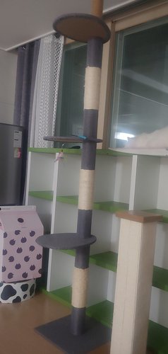 딩동펫 고양이 썬탑 캣폴
