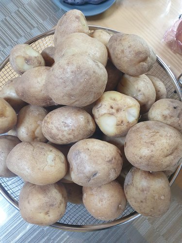 산세로 무농약 감자 5kg 80~150g