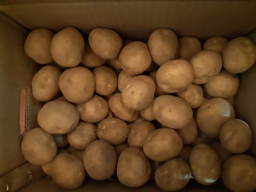 [맛딜] 포슬포슬 국내산 감자 5kg 소(50-70g내외)