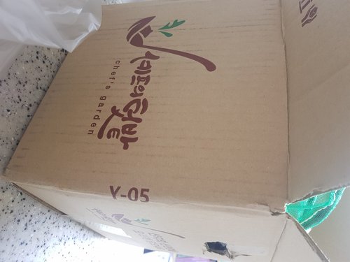 [자연맛남] 아삭한 대서 통마늘 5kg (대)