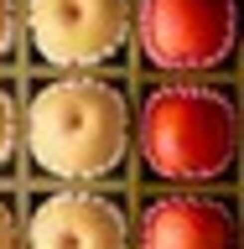 [과일선물세트] 프리미엄 사과배 혼합선물세트(사과6개, 배6개)