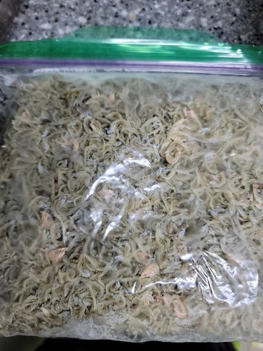 군산의 맛 햇멸치 [바다향] 선물용 볶음용 멸치(잔멸치) 최상품 지리 1.5kg