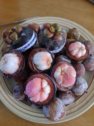 [1+1 냉동과일] 패션후르츠 리치 망고스틴 아보카도 블루베리 딸기 망고 두리안 15종