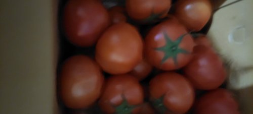 [황종운님 생산] 자연맛남 정읍 정품 완숙토마토 2.5kg (4~5번과)
