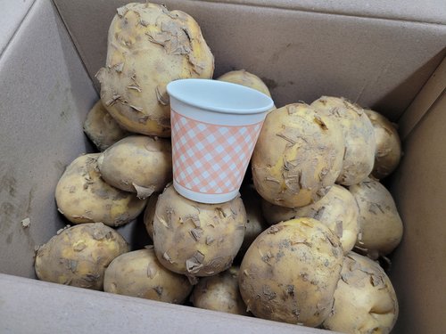 24년 수확 국내산 햇 수미 감자 3kg (중)