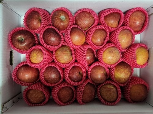 [유명산지] 아삭달콤한 거창 꿀사과 못난이사과 5kg(소과)24-29과 내외