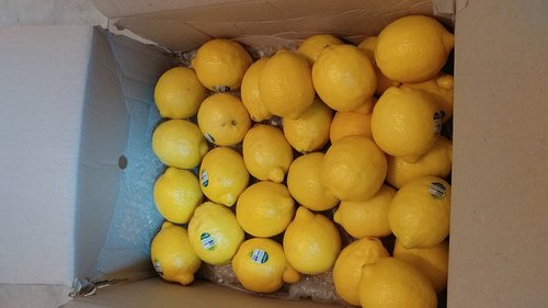 미국산 팬시 레몬 특대과 30입 4.2kg