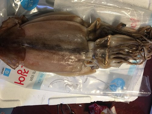 [경상북도](반건조)[해다원]해를품은 반건조오징어 대10미(1.1kg)/경북영덕_오징어_국내산
