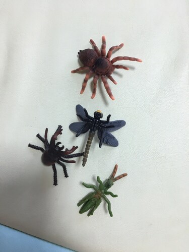 컬렉타 미니 곤충 거미 세트 (12종)