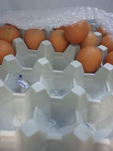 [무항생제/HACCP] 웰굿 맥반석 숙성 구운 계란 30구(1판,중란)