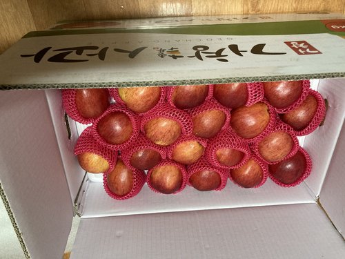 [유명산지] 아삭달콤한 거창 꿀사과 못난이사과 5kg(소과)24-29과 내외