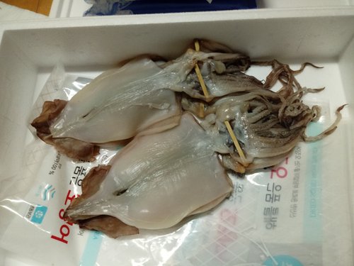 [경상북도](반건조)[해다원]해를품은 반건조오징어 대10미(1.1kg)/경북영덕_오징어_국내산