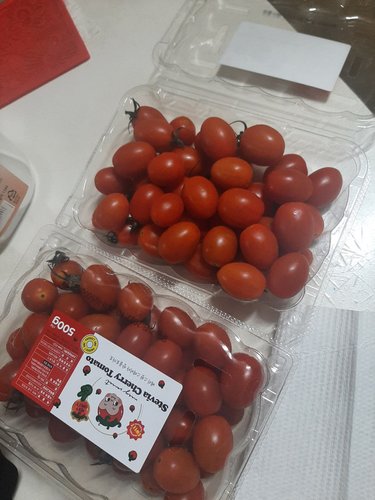 [자연맛남] 베리스윗 스테비아 대추 방울토마토 1kg (500g x 2팩)
