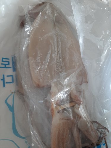 [소스2종증정] 포항 국내산 반건조오징어 10마리 (1.1~1.2kg내외)