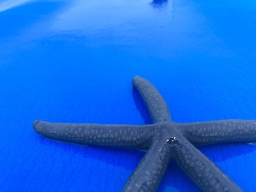 하우징 휴대폰 전기종 15M 다이빙 수영 스노클링 서핑 아이폰 삼성 방수팩 방수케이스