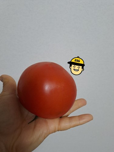 [황종운님 생산] 자연맛남 정읍 정품 완숙토마토 2.5kg (2~3번과)