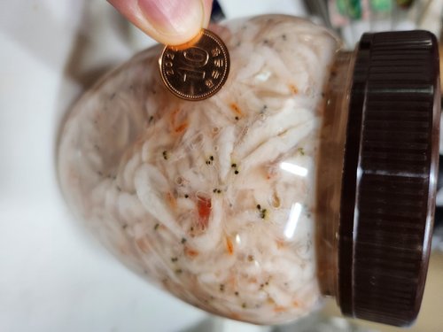굴다리식품 김정배 명인젓갈 새우 육젓(특)1kg