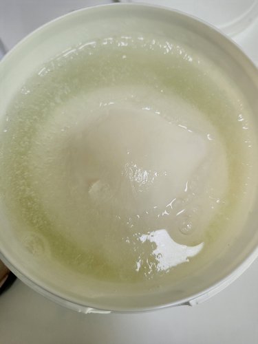 [보라티알](냉동) 유로포멜라 부라타치즈 컵 100g x8개