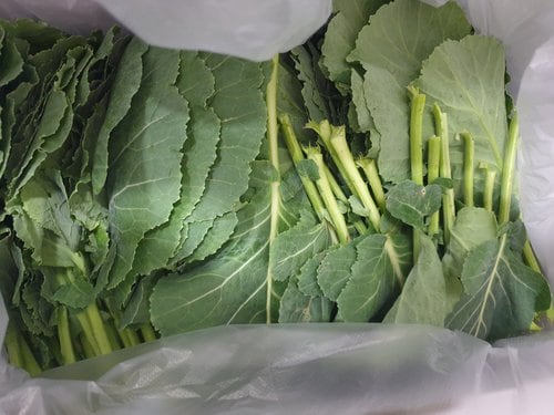 [자연맛남] 유기농 쌈케일 1kg