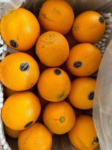 팸쿡 고당도 네이블 오렌지 24과 6kg (대과)