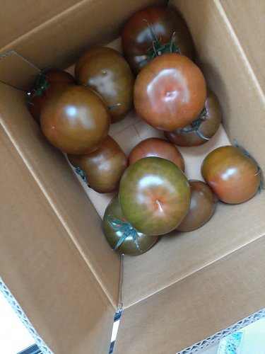 [자연맛남] 산지직송 보성 흑토마토 2kg (1-3번과)