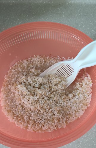 그린에버 일본 마나 키와미 쌀 씻는 주걱 쌀씻는도구