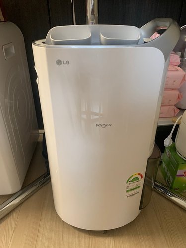 LG DQ202PSUA 휘센 제습기 20L