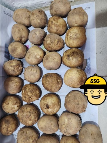 [이정식님 생산] 햇 수미 감자 5kg 특
