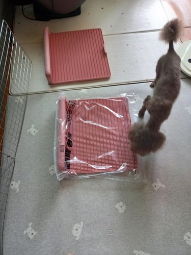 독톡 표준형 강아지 배변판 애견화장실 중형 논슬립
