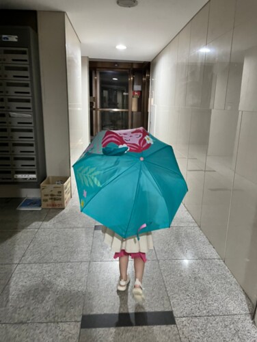 팝업 우산