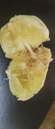 팬시 레몬 9개입(1kg내외)