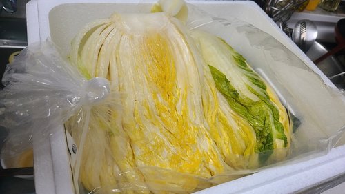 [HACCP] 국내산 김장 절임배추 10kg