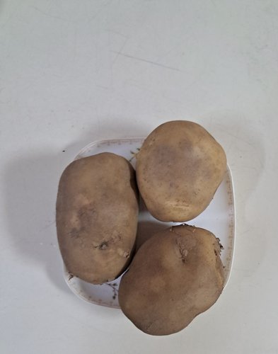 [이정식님 생산] 햇 수미 감자 3kg 왕특