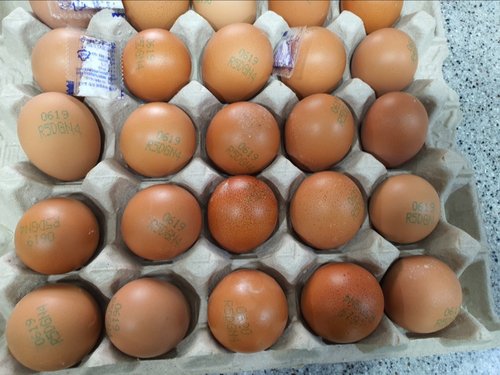 HACCP가공 구운 계란 두판(60알)