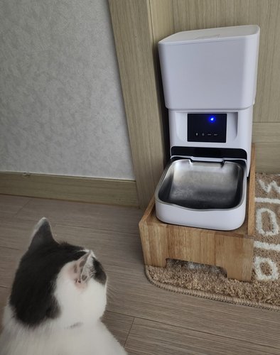 디클펫 강아지 고양이 스마트 자동급식기 와이파이 앱 지원