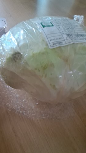 [초록한입] 국내산 유기농 양배추 2kg
