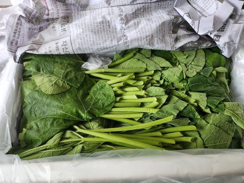 농장직송 나물 쌈채소 호박잎 1.5kg