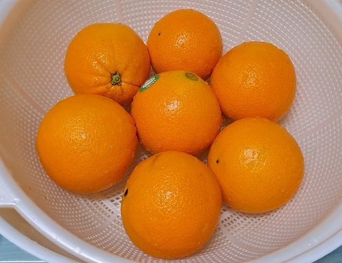 팸쿡 고당도 네이블 오렌지 8과 1.6kg (중과)